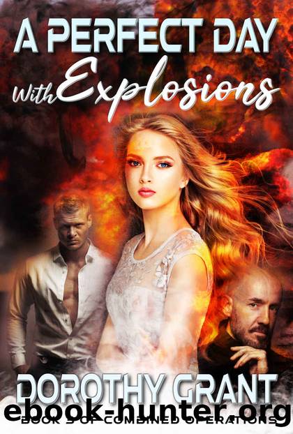 A Perfect Day, With Explosions by Grant Dorothy