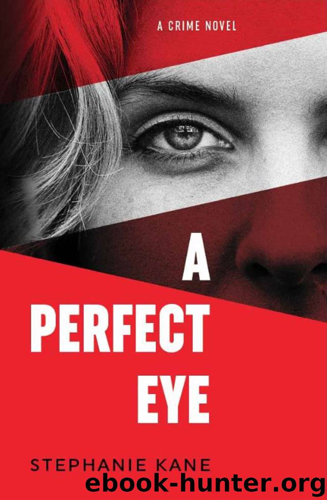 A Perfect Eye by Stephanie Kane
