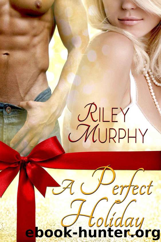 A Perfect Holiday by Murphy Riley