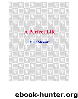 A Perfect Life by Mike Stewart
