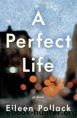 A Perfect Life_A Novel by Eileen Pollack