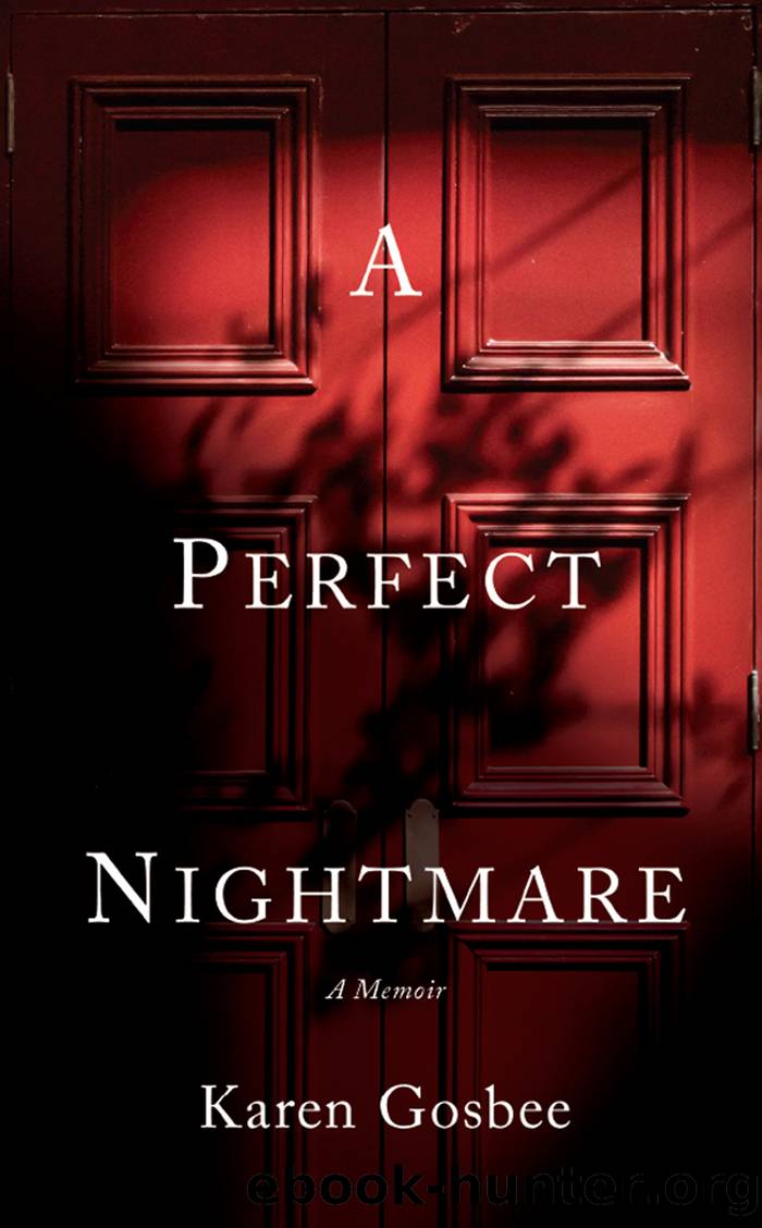 A Perfect Nightmare by Karen Gosbee