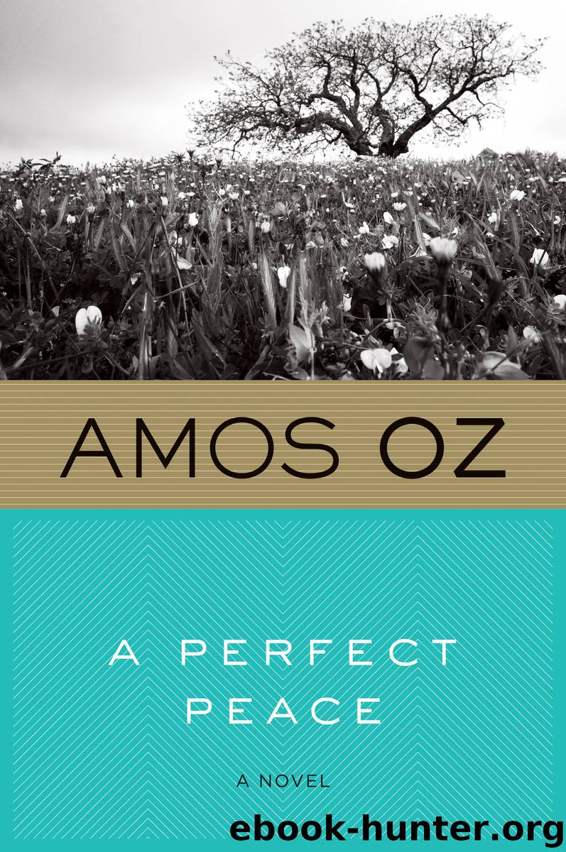 A Perfect Peace by Amos Oz