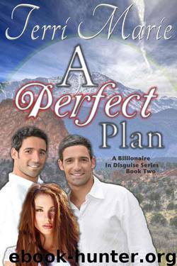 A Perfect Plan (A Billionaire in Disguise) by Marie Terri