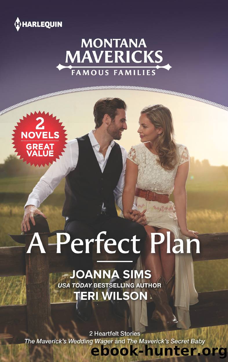 A Perfect Plan by Joanna Sims