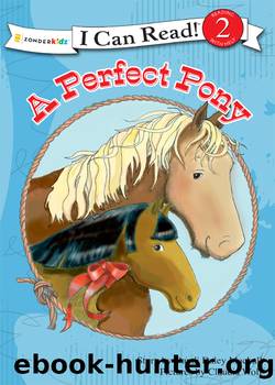 A Perfect Pony by Dandi Daley Mackall