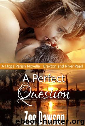 A Perfect Question by Zoe Dawson