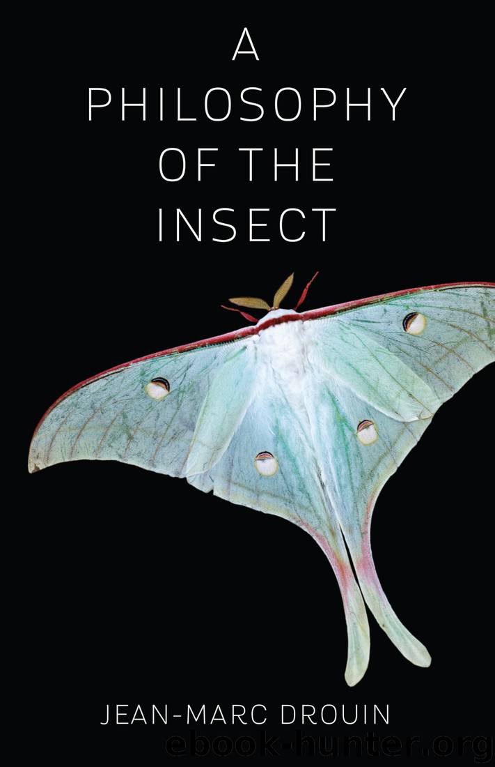 A Philosophy of the Insect by Jean-Marc Drouin & Anne Trager