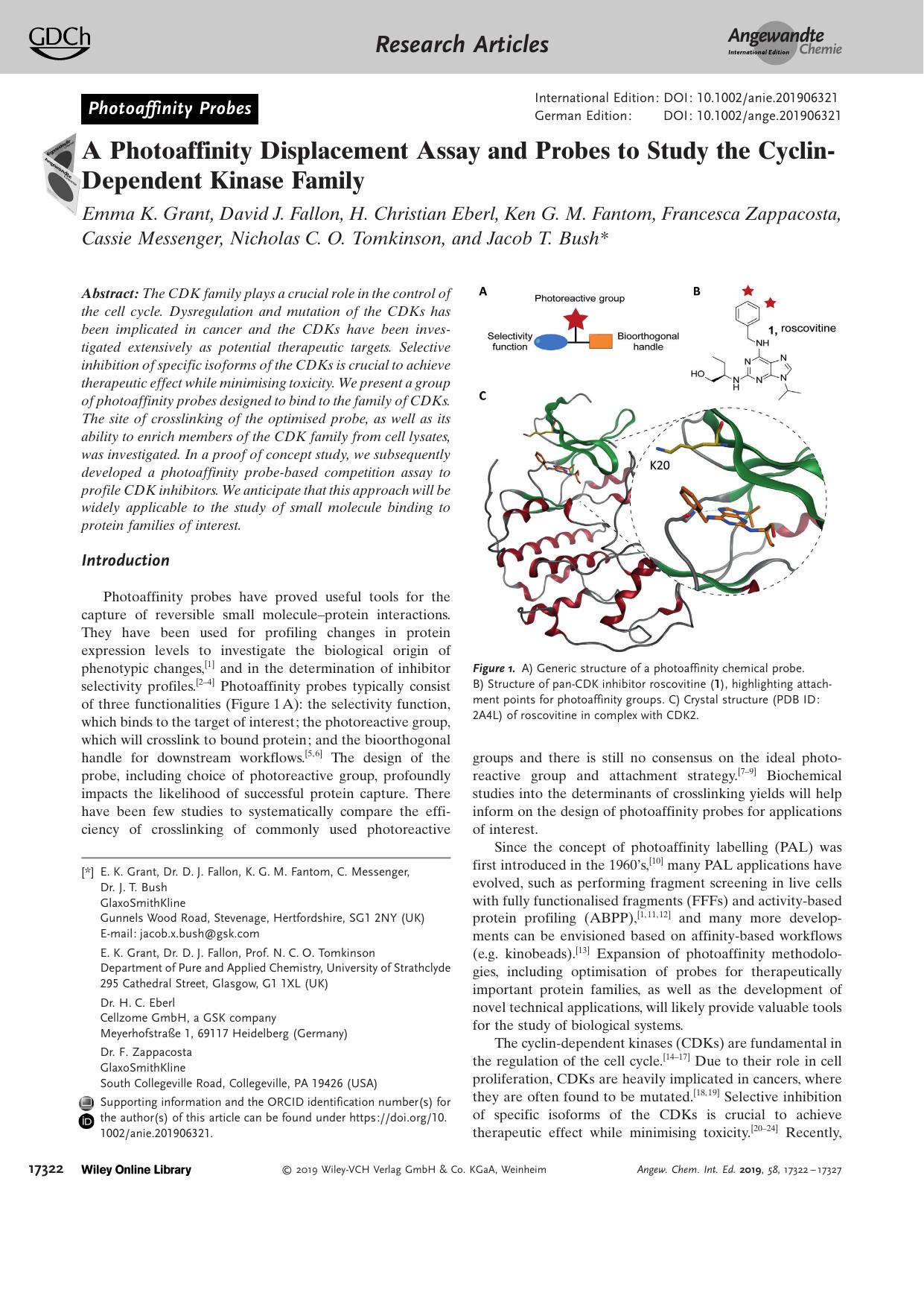A Photoaffinity Displacement Assay and Probes to Study the CyclinâDependent Kinase Family by Unknown