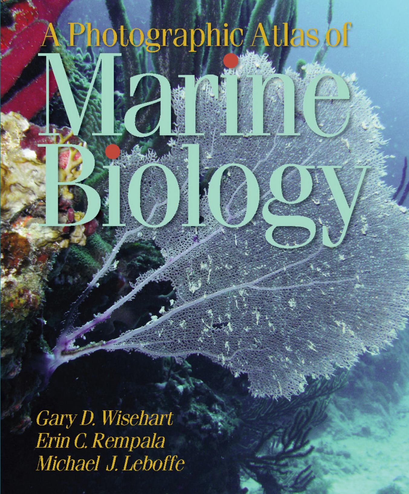 A Photographic Atlas of Marine Biology by Gary D. Wisehart Erin C. Rempala Michael J. Leboffe and David Ferguson
