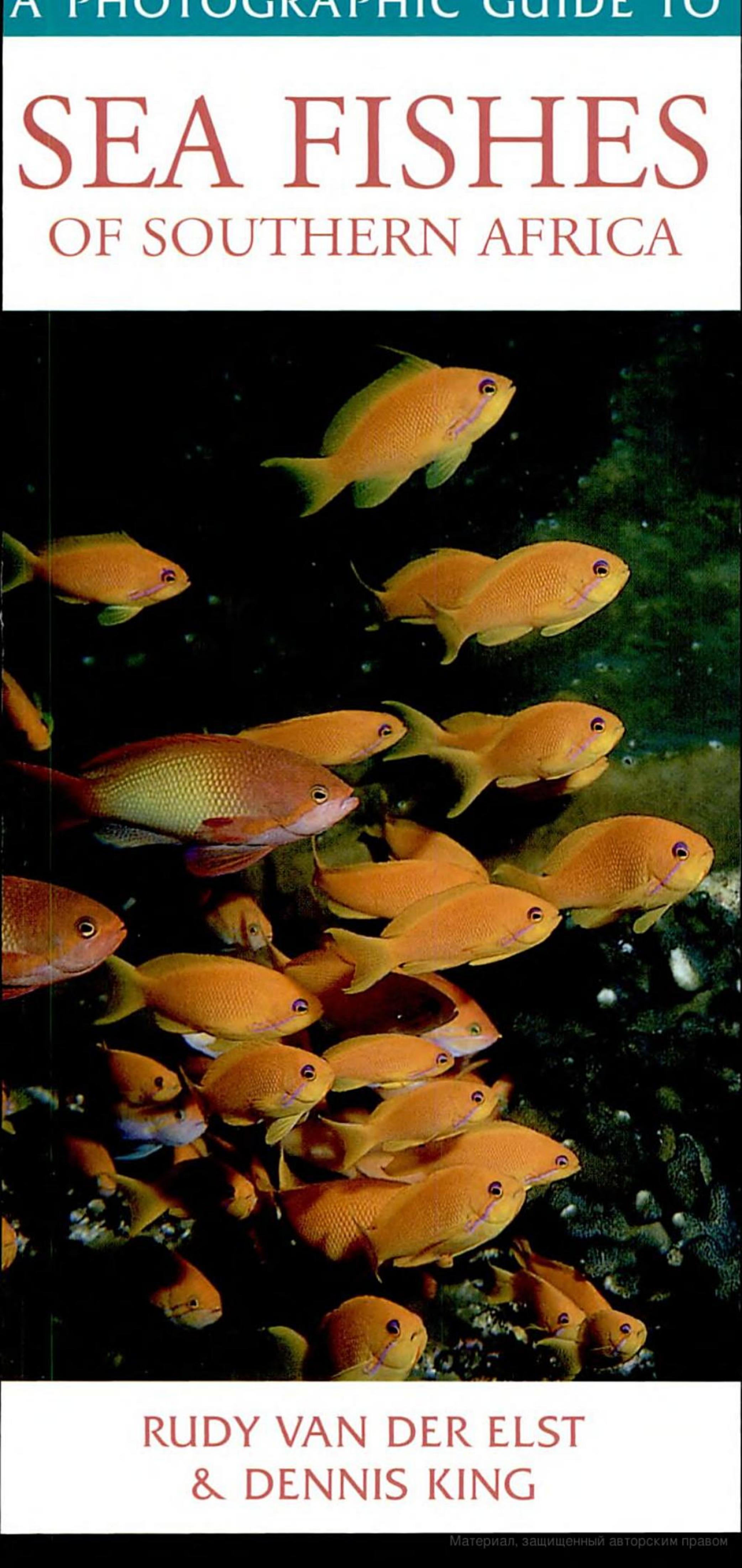A Photographic Guide to Sea Fishes of Southern Africa by ??????: Rudy Van Der Elst Dennis King