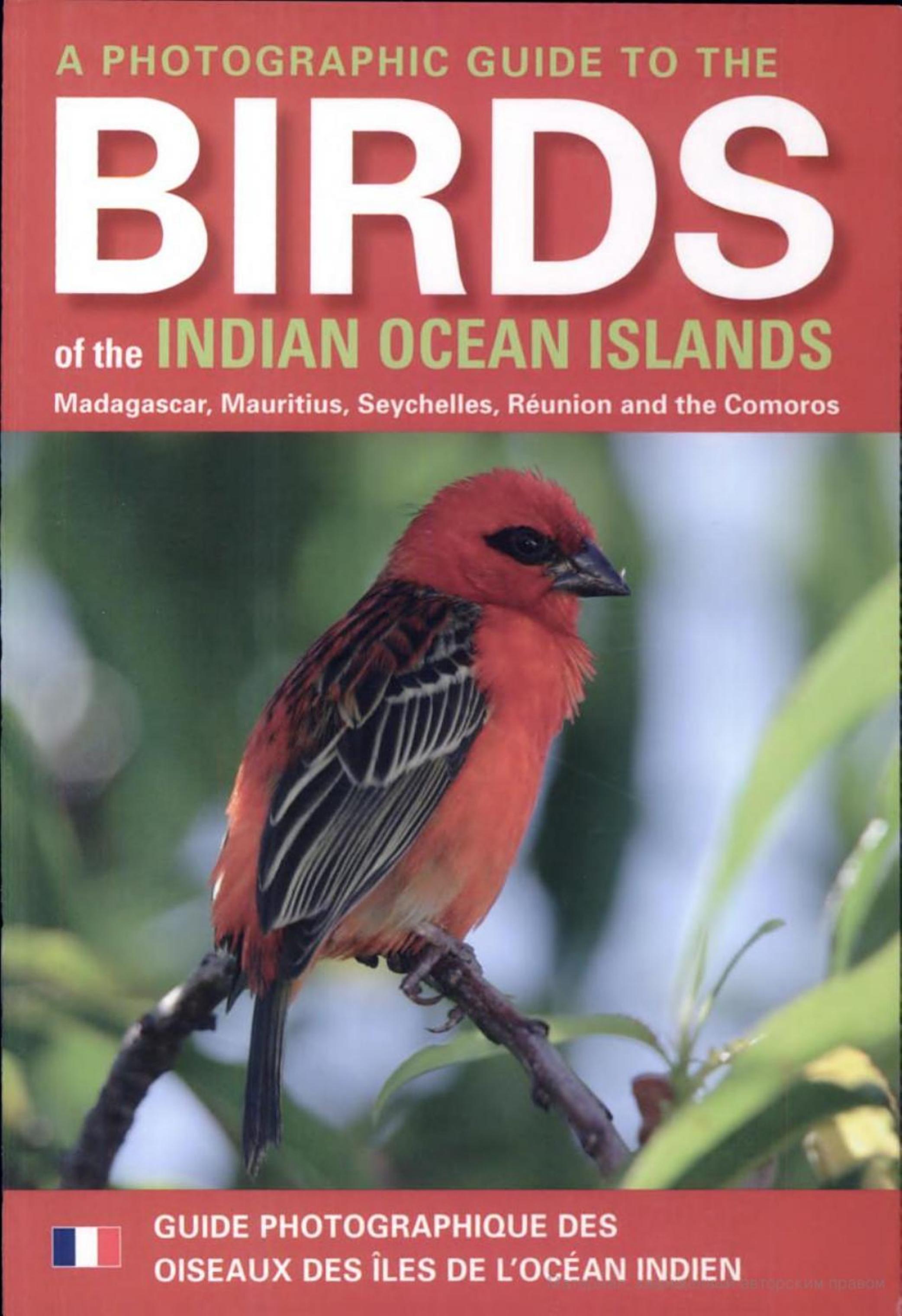 A Photographic Guide to the Birds of the Indian Ocean Islands by ??????: Ian Sinclair Olivier Langrand Fanja Andriamialisoa