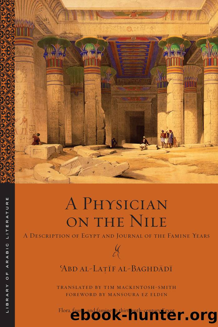 A Physician on the Nile by ʿAbd al-Laṭīf al-Baghdādī
