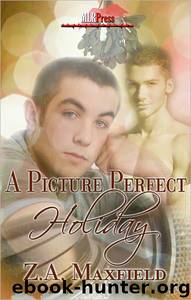 A Picture Perfect Holiday by Z. A. Maxfield