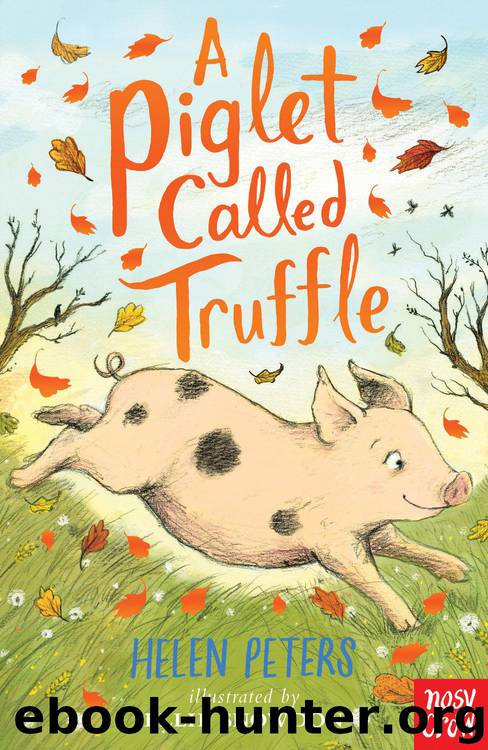 A Piglet Called Truffle by Helen Peters