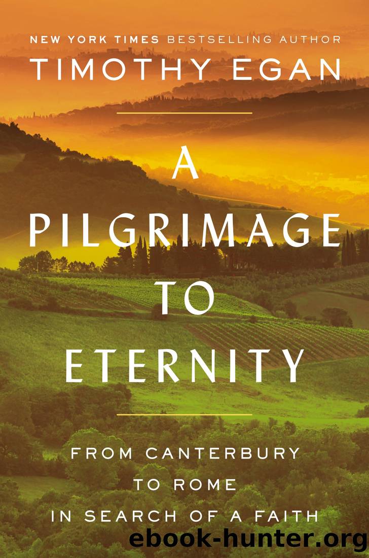 A Pilgrimage to Eternity: From Canterbury to Rome in Search of a Faith by Egan Timothy