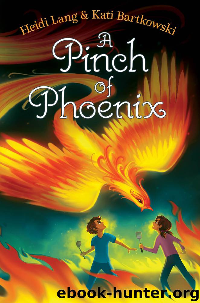 A Pinch of Phoenix by Heidi Lang & Kati Bartkowski