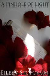A Pinhole of Light by Eileen Stoecklin