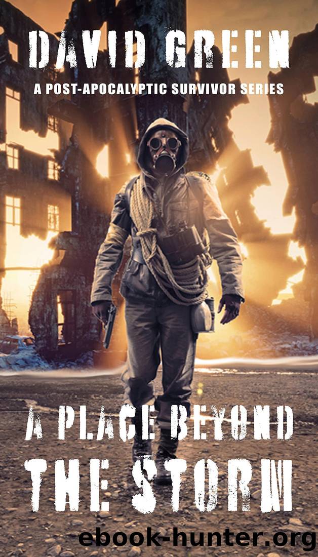 A Place Beyond the Storm: Terror in the Caves (AFTER: A POST-APOCALYPTIC SURVIVOR SERIES) by David Green & Eerie River Publishing
