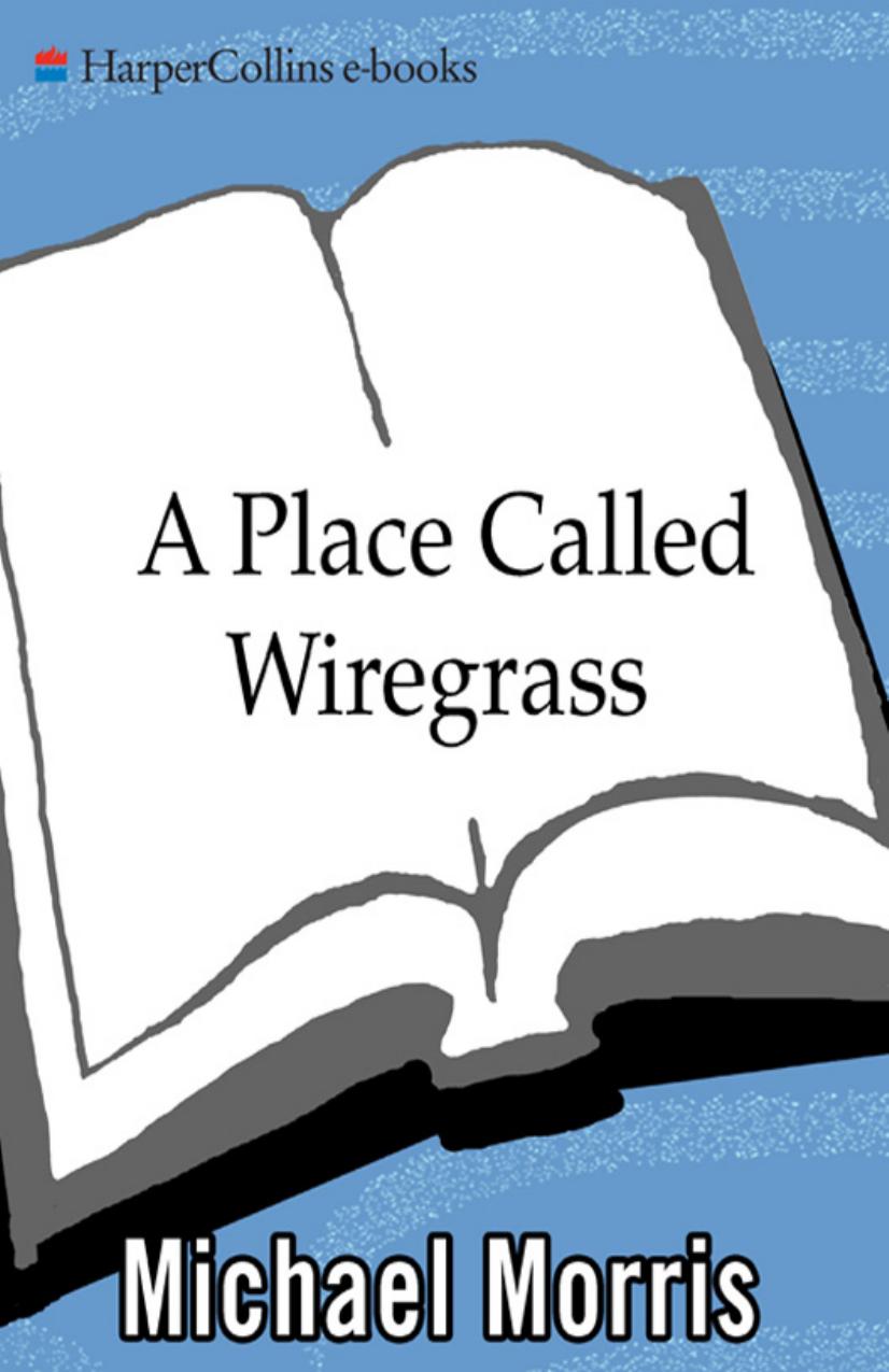 A Place Called Wiregrass by Michael Morris