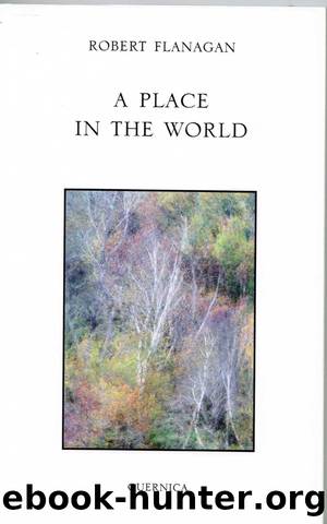 A Place In The World by Robert Flanagan
