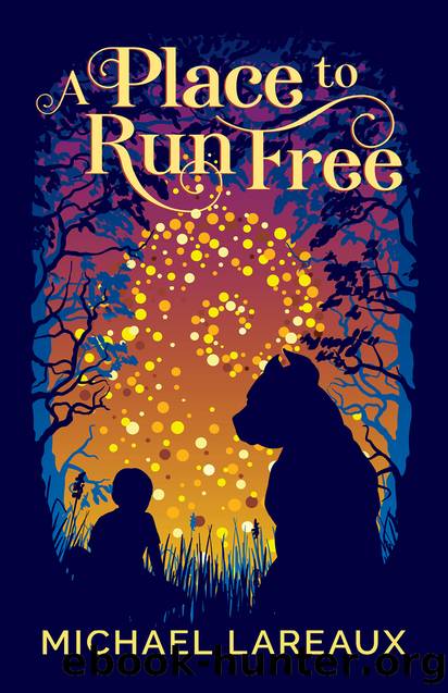 A Place to Run Free by Michael LaReaux