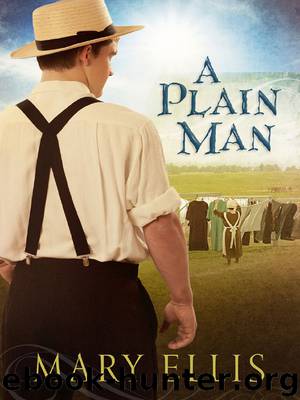 A Plain Man by Mary Ellis