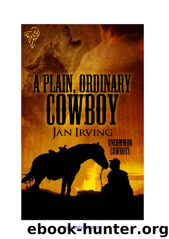 A Plain, Ordinary Cowboy by Jan Irving