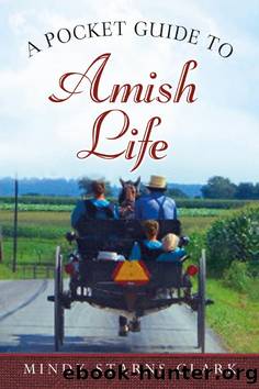 A Pocket Guide to Amish Life by Mindy Starns Clark