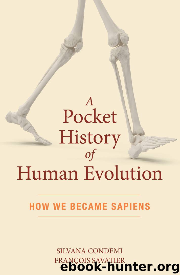 A Pocket History of Human Evolution by Silvana Condemi & François Savatier