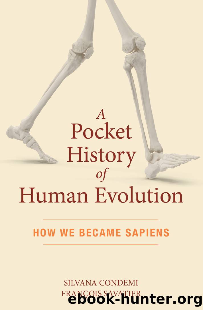 A Pocket History of Human Evolution by Silvana Condemi && François Savatier