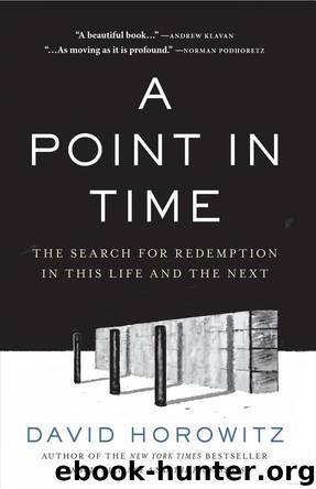 A Point in Time: The Search for Redemption in This Life and the Next by David Horowitz