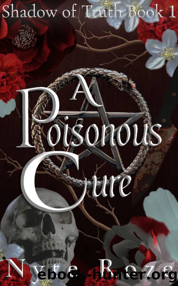 A Poisonous Cure: A Dark Romance. Shadow of Truth (Book 1) by Nyte Roze