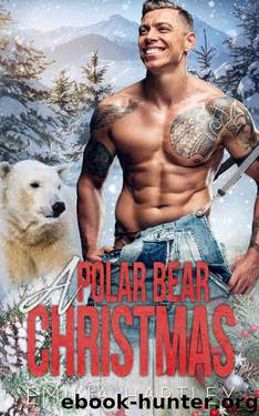 A Polar Bear Christmas by Emilia Hartley