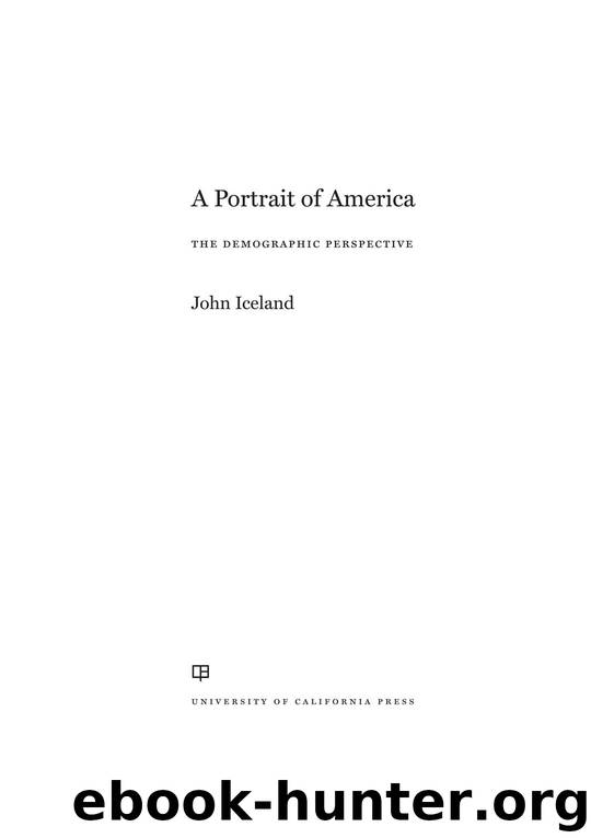 A Portrait of America by Iceland John