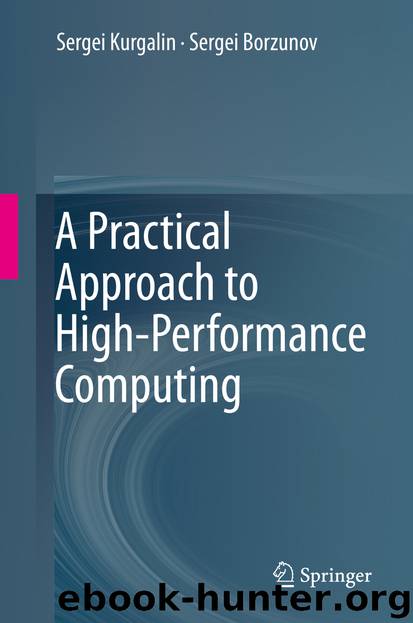 A Practical Approach to High-Performance Computing by Sergei Kurgalin & Sergei Borzunov