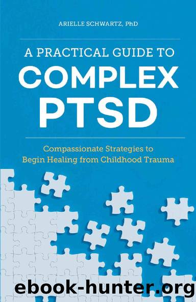 A Practical Guide to Complex PTSD: Compassionate Strategies to Begin Healing from Childhood Trauma by Arielle Schwartz