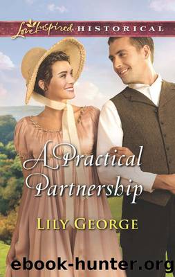 A Practical Partnership by Lily George