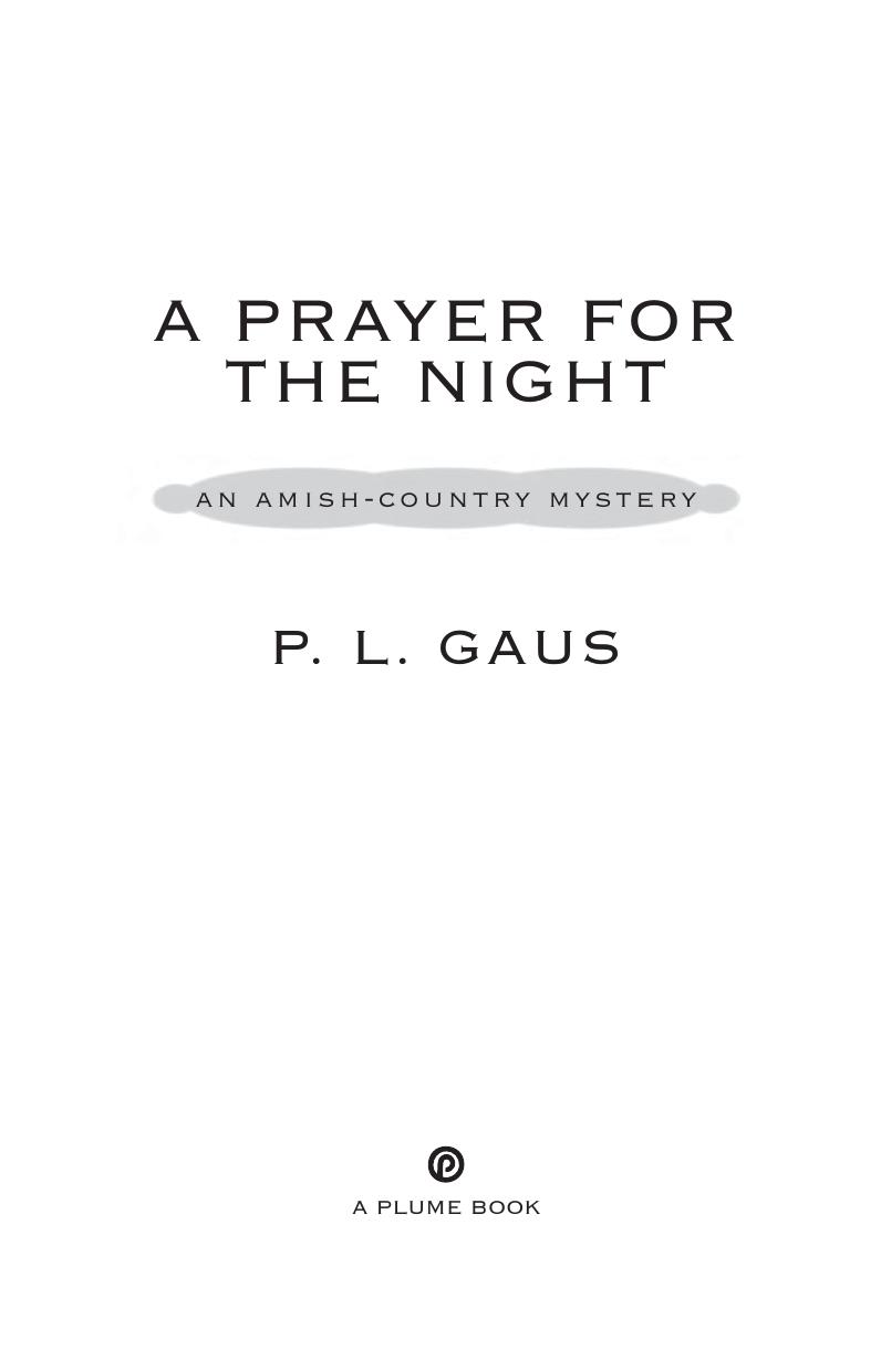 A Prayer for the Night by P. L. Gaus
