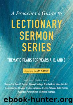 A Preacher's Guide to Lectionary Sermon Series--Volume 1 by Amy K Butler
