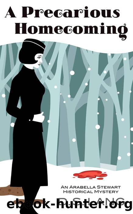 A Precarious Homecoming by D.S. Lang