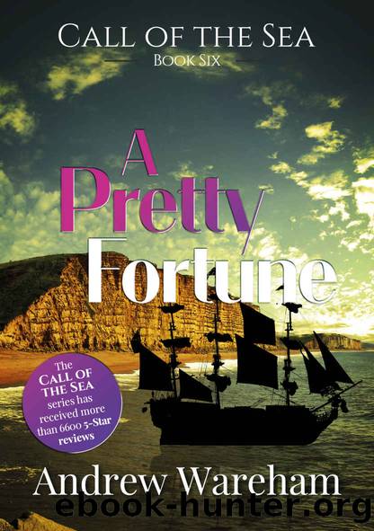 A Pretty Fortune by Wareham Andrew