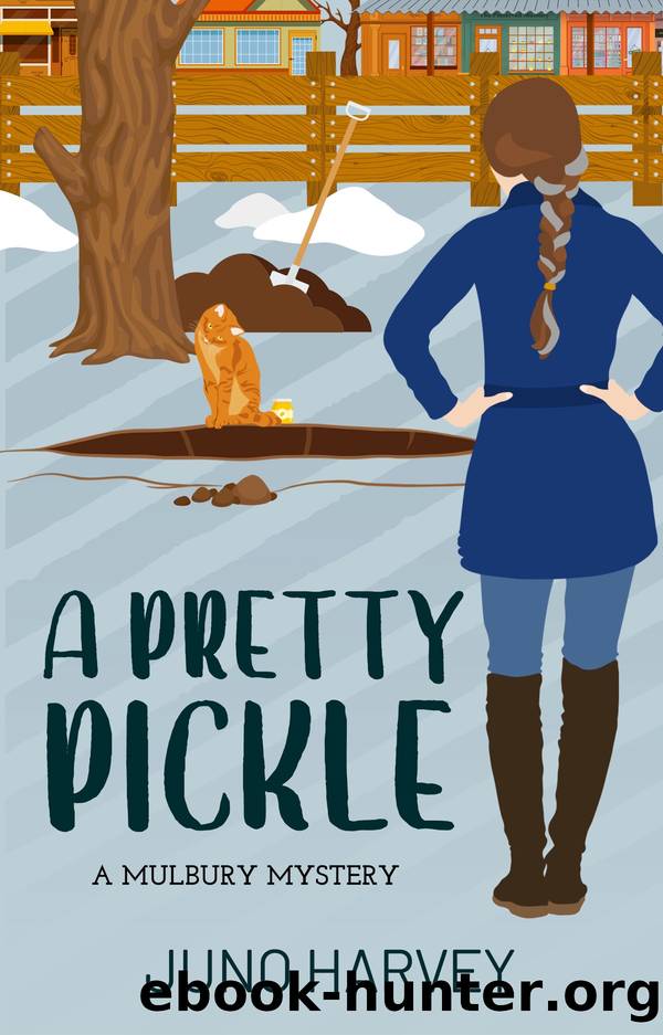 A Pretty Pickle: A Mulbury Mystery by Juno Harvey