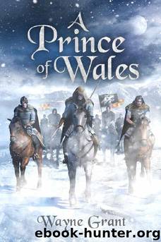A Prince of Wales by Wayne Grant