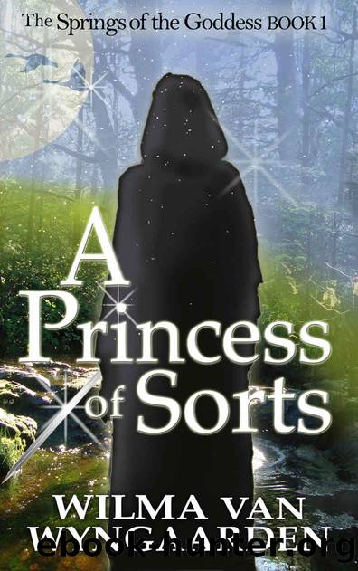 A Princess of Sorts by Wilma van Wyngaarden