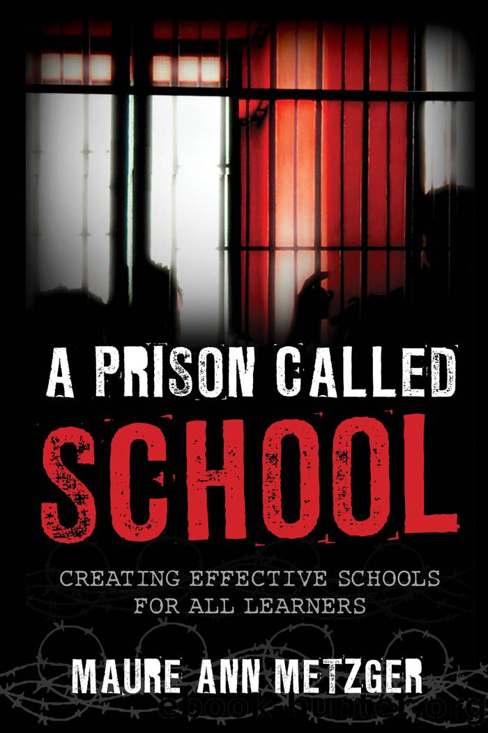 A Prison Called School by Metzger Maure Ann;