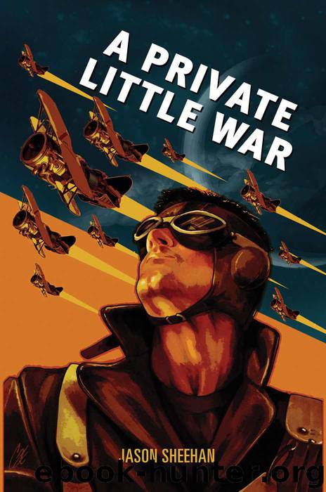 A Private Little War by Sheehan Jason