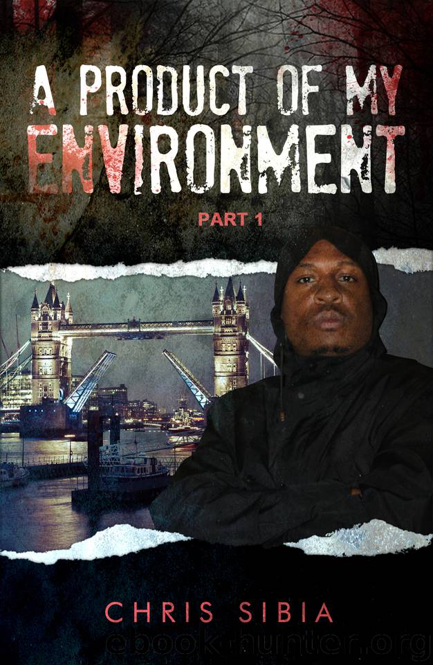 A Product of My Environment (Part 1) by Sibia Chris