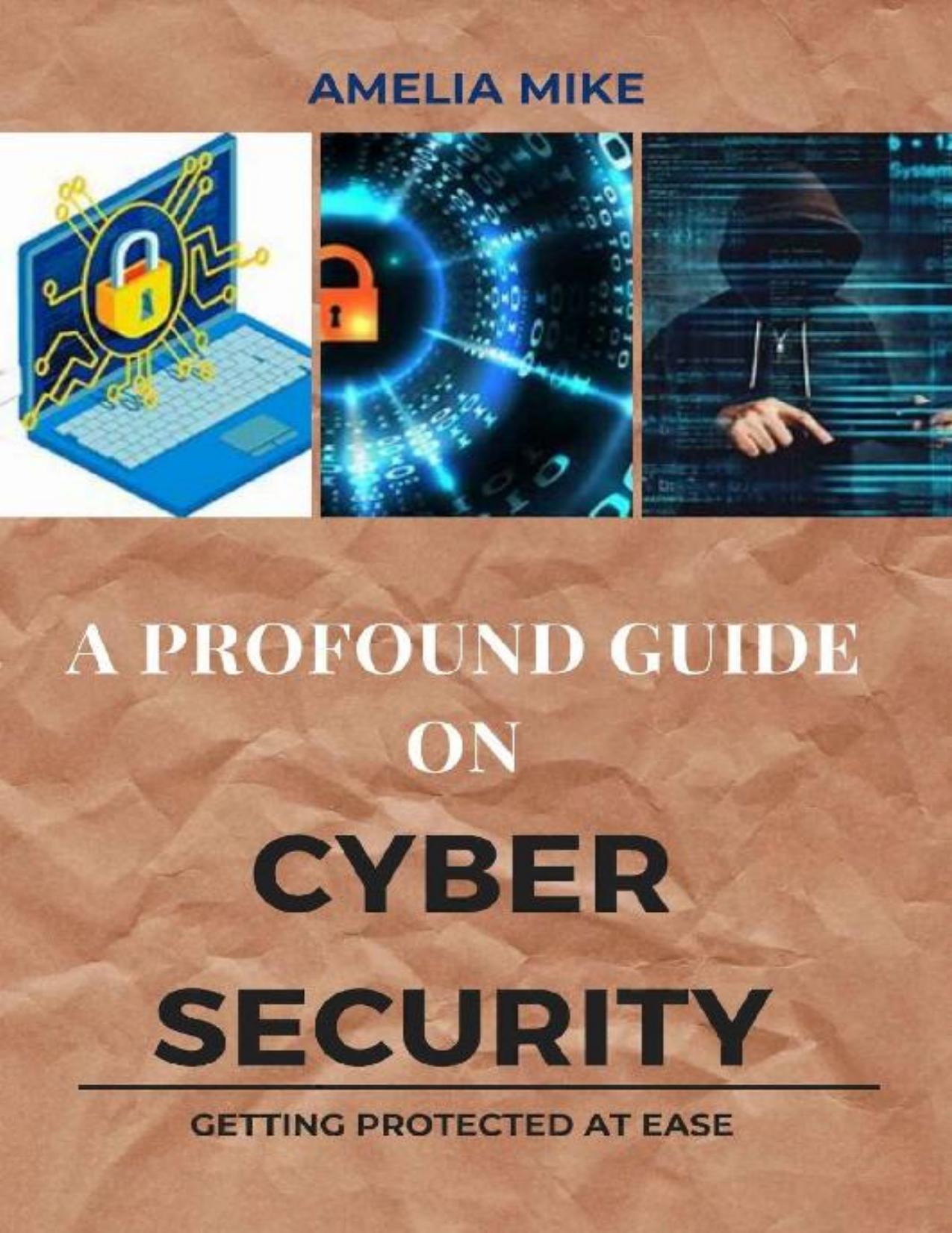 A Profound Guide On Cyber Security: Getting Protected At Ease As a Professional And a Beginner by Amelia Mike
