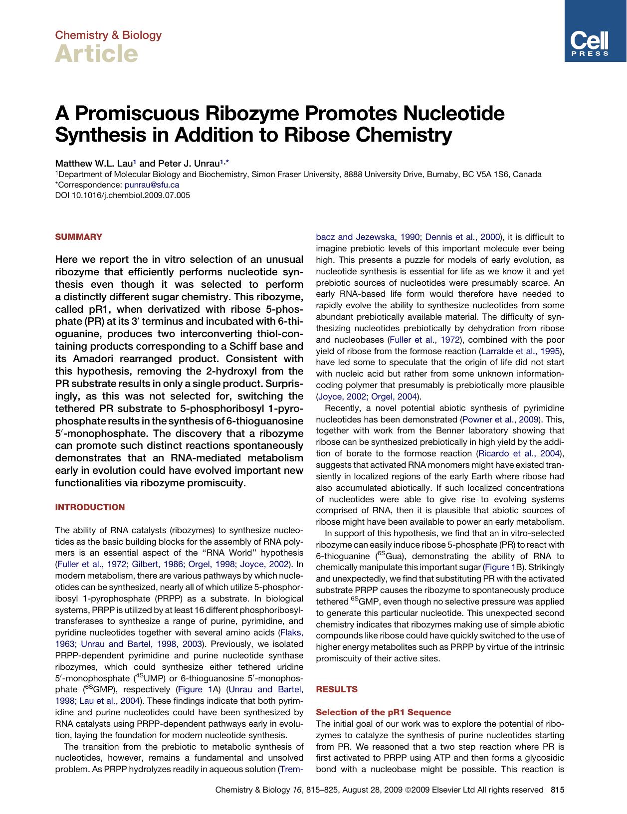 A Promiscuous Ribozyme Promotes Nucleotide Synthesis in Addition to Ribose Chemistry by Matthew W.L. Lau; Peter J. Unrau
